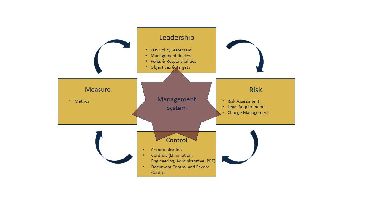 Management Systems Visual