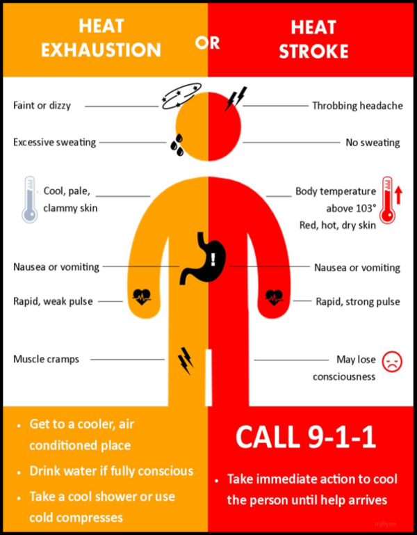 Heat Exhaustion Graphic