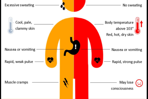 Heat Exhaustion Graphic
