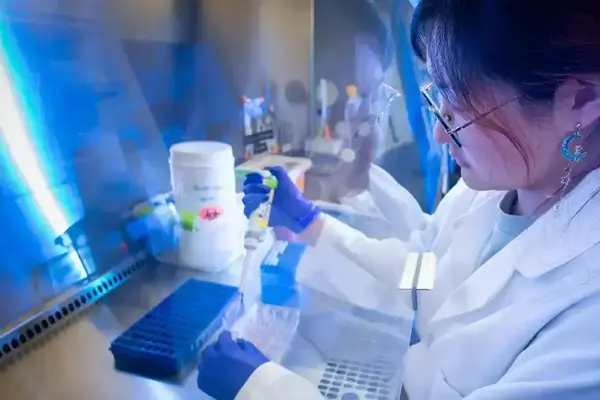 Researcher in lab coat and blue gloves pipetting samples under bright blue light in a biosafety cabinet.